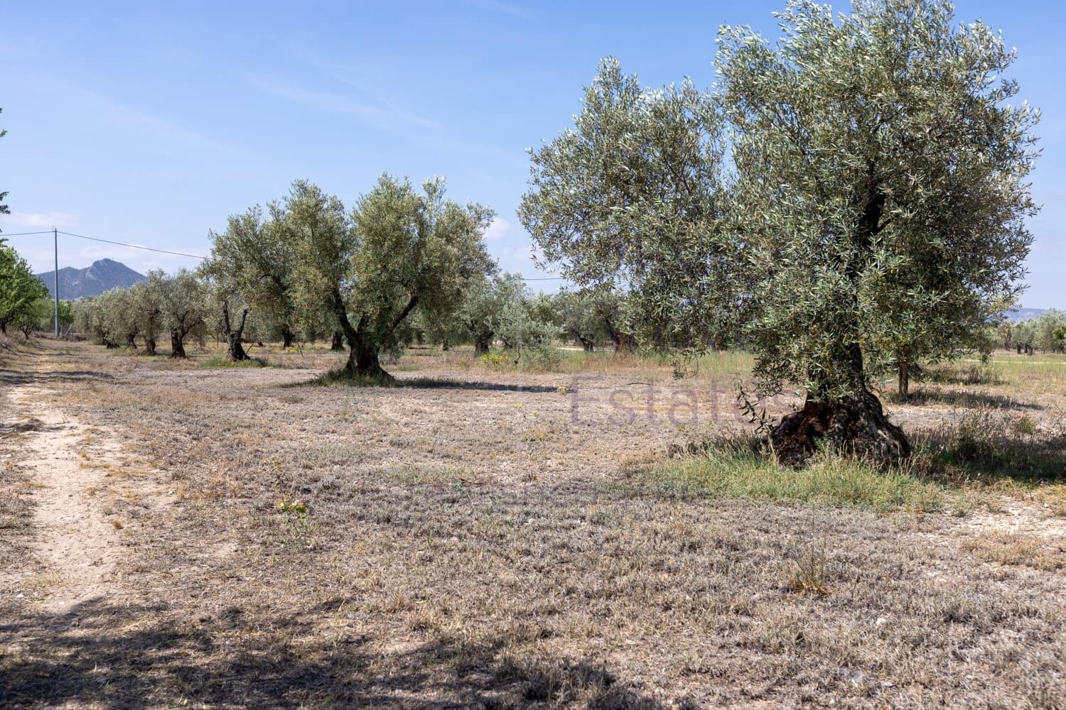 5 sypialnia Willa na sprzedaż w Biar - 499 000 € (Ref: 9153022)