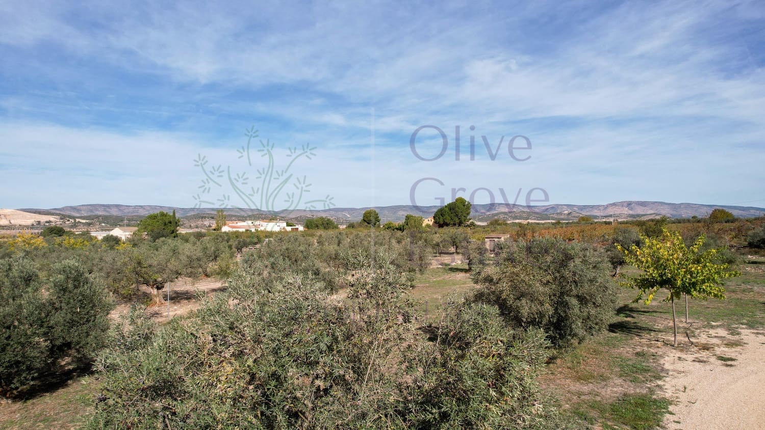 5 sypialnia Willa na sprzedaż w Biar - 499 000 € (Ref: 9153022)