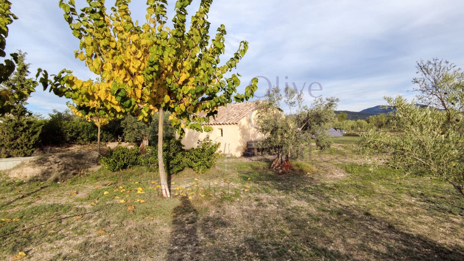 5 sypialnia Willa na sprzedaż w Biar - 499 000 € (Ref: 9153022)