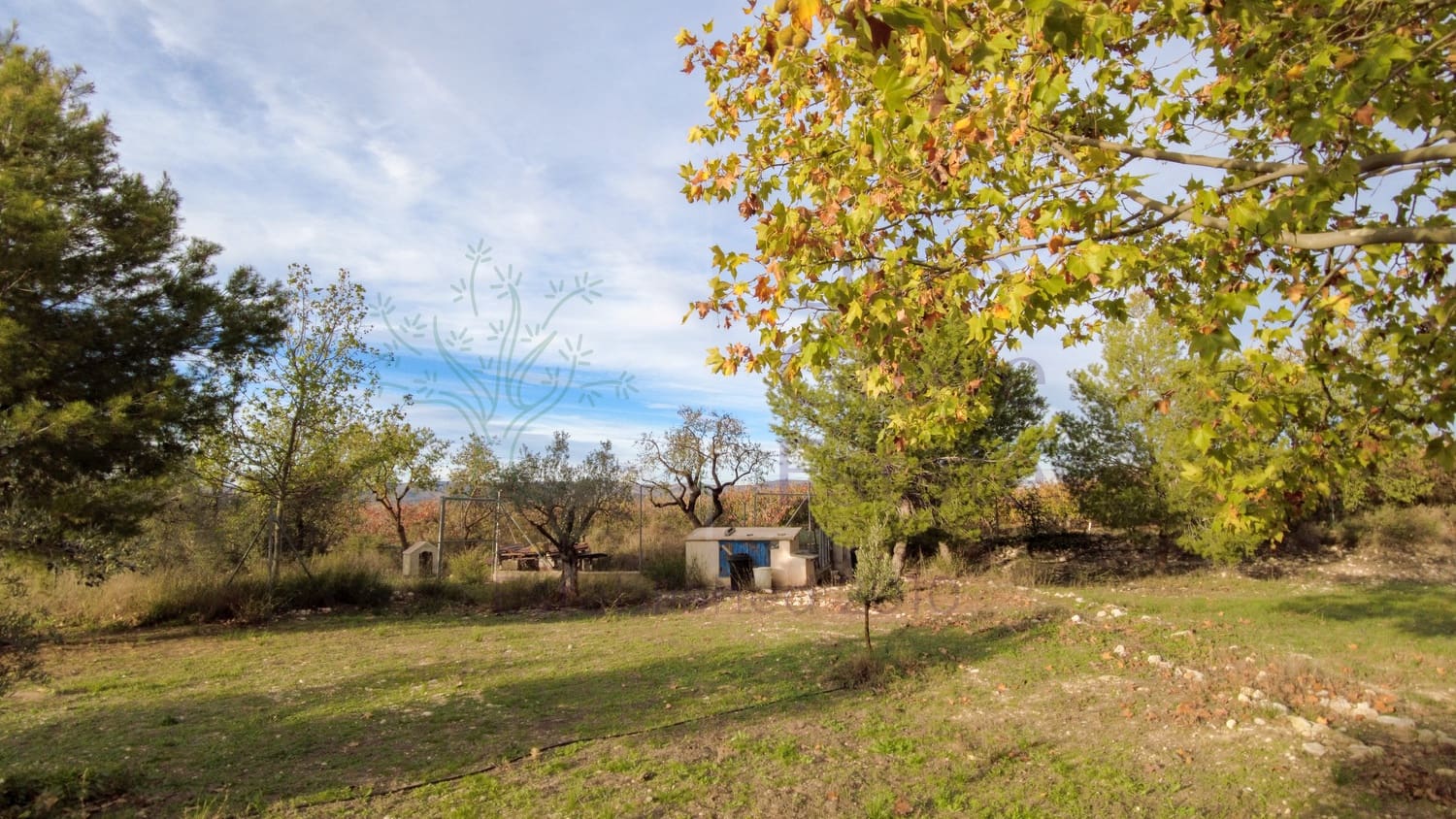 5 sypialnia Willa na sprzedaż w Biar - 499 000 € (Ref: 9153022)