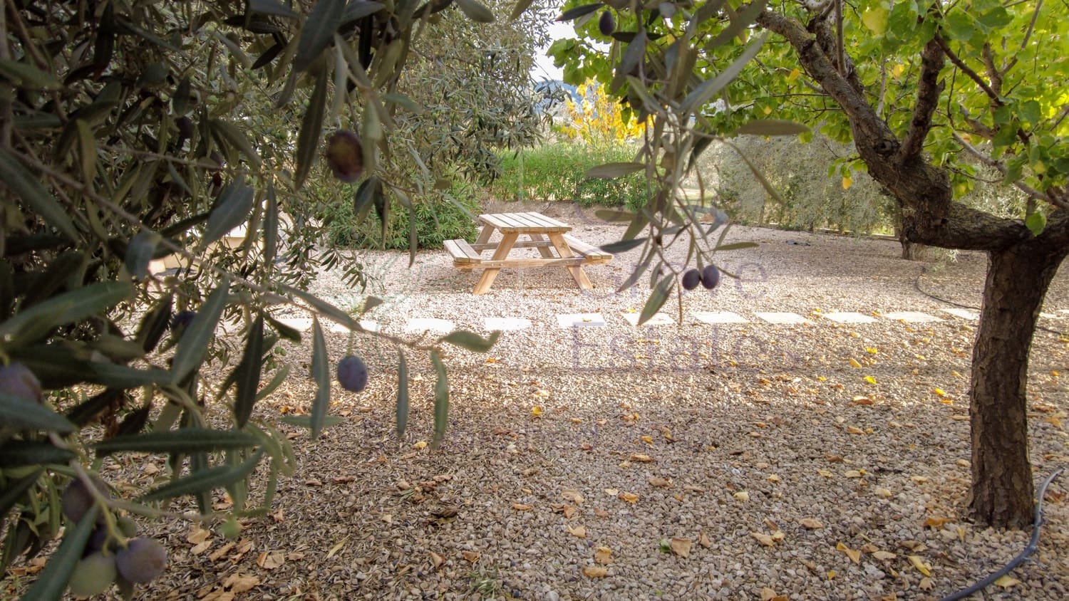 5 sypialnia Willa na sprzedaż w Biar - 499 000 € (Ref: 9153022)