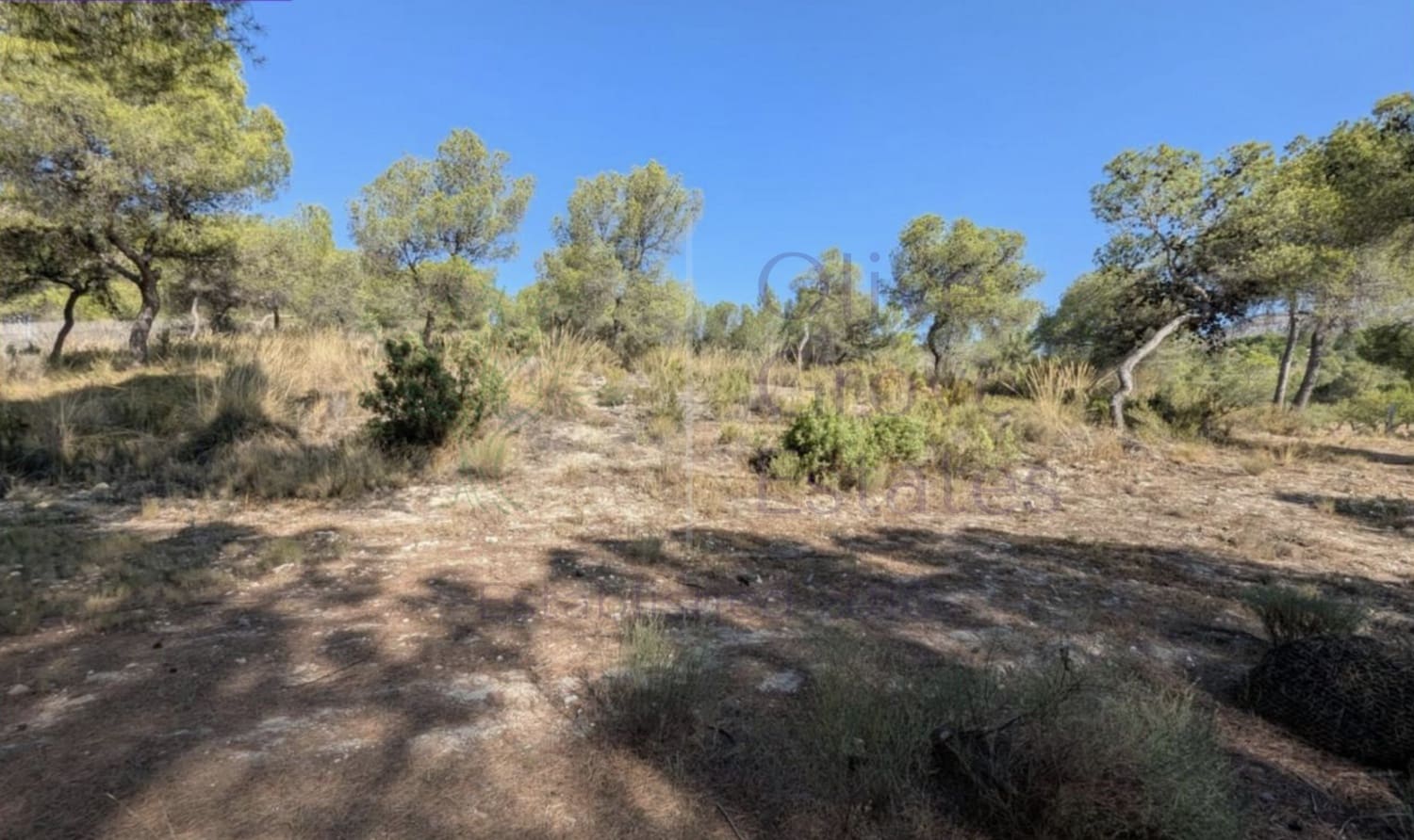 4 soverom Villa til salgs i Sax - € 315 000 (Ref: 9161548)