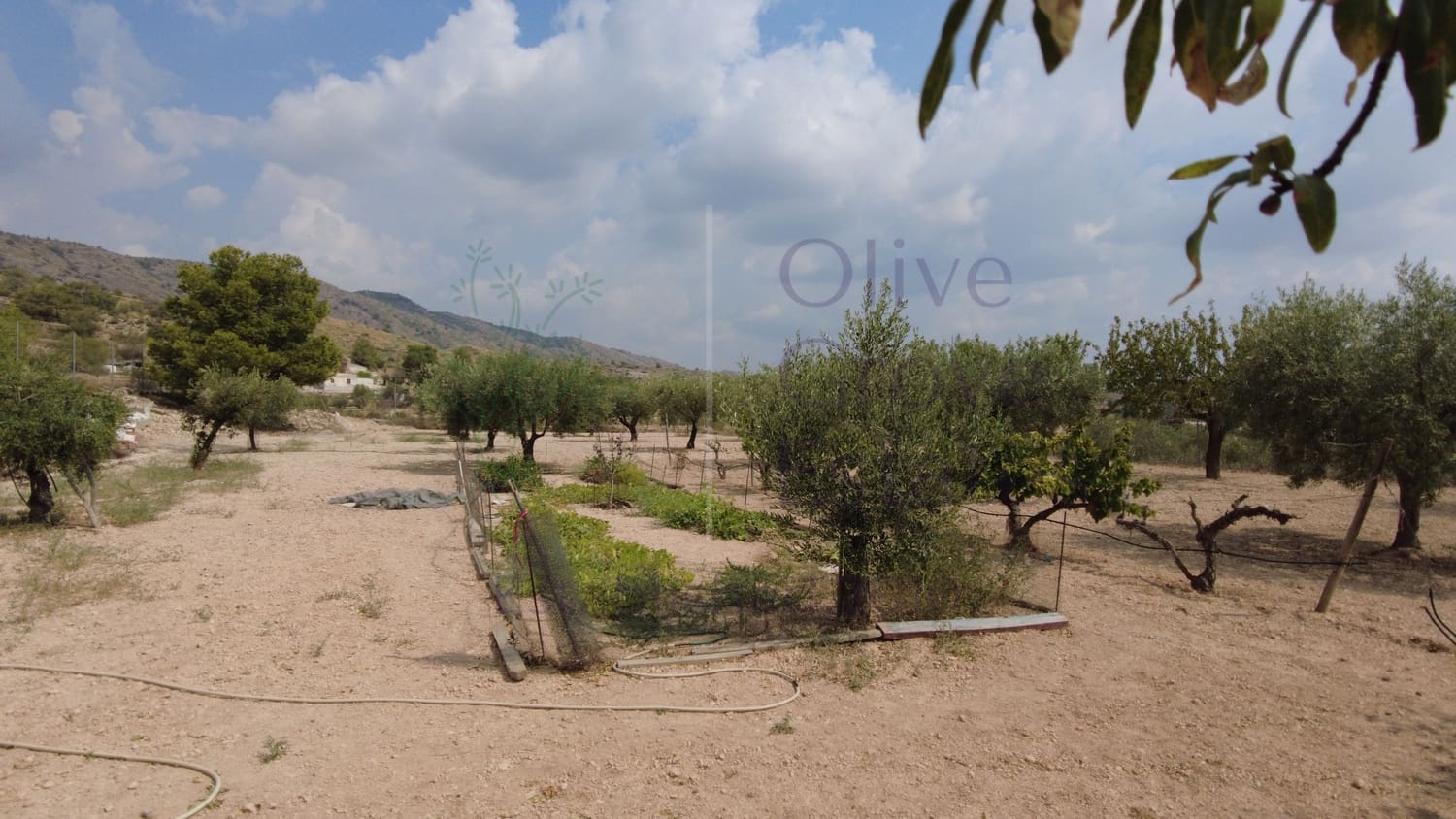 4 sovrum Villa till salu i Monovar / Monover - 279 000 € (Ref: 9191936)