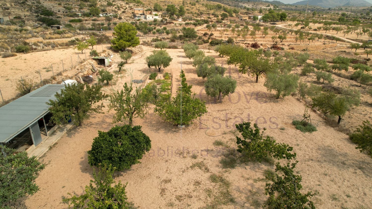 4 sovrum Villa till salu i Monovar / Monover - 279 000 € (Ref: 9191936)