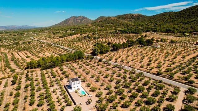 3 chambre Villa/Maison à vendre à Biar - 449 950 € (Ref: 9219619)