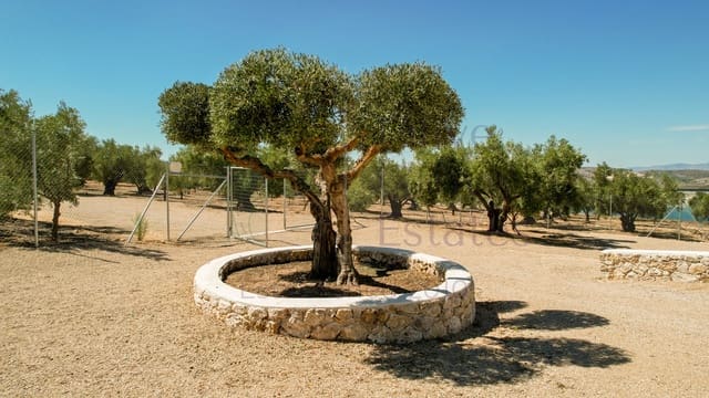 3 chambre Villa/Maison à vendre à Biar - 449 950 € (Ref: 9219619)