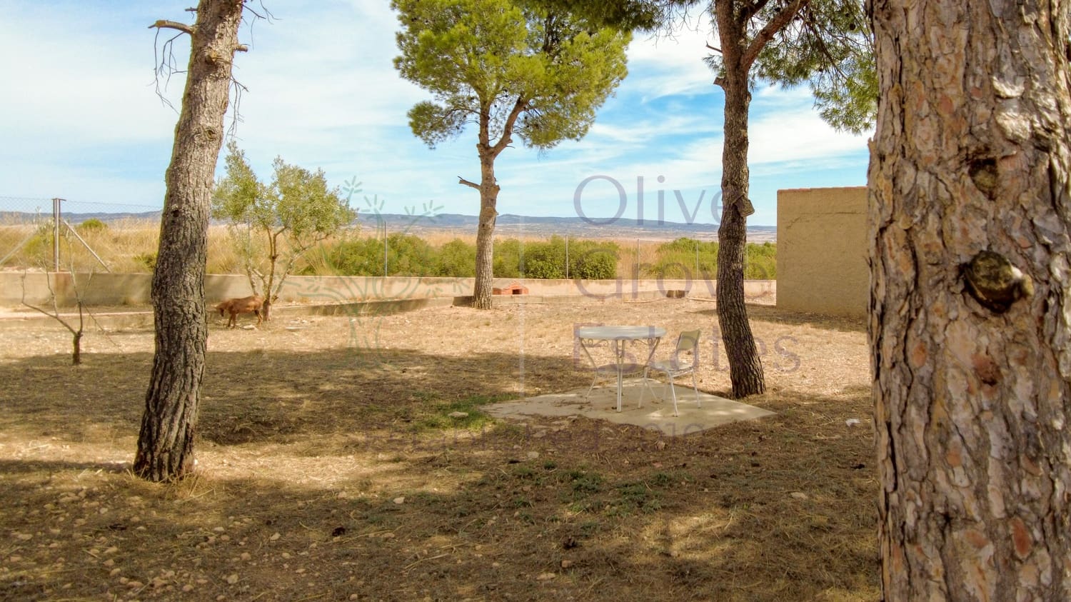 4 sovrum Finca/Hus på landet till salu i Almansa - 119 500 € (Ref: 9239311)