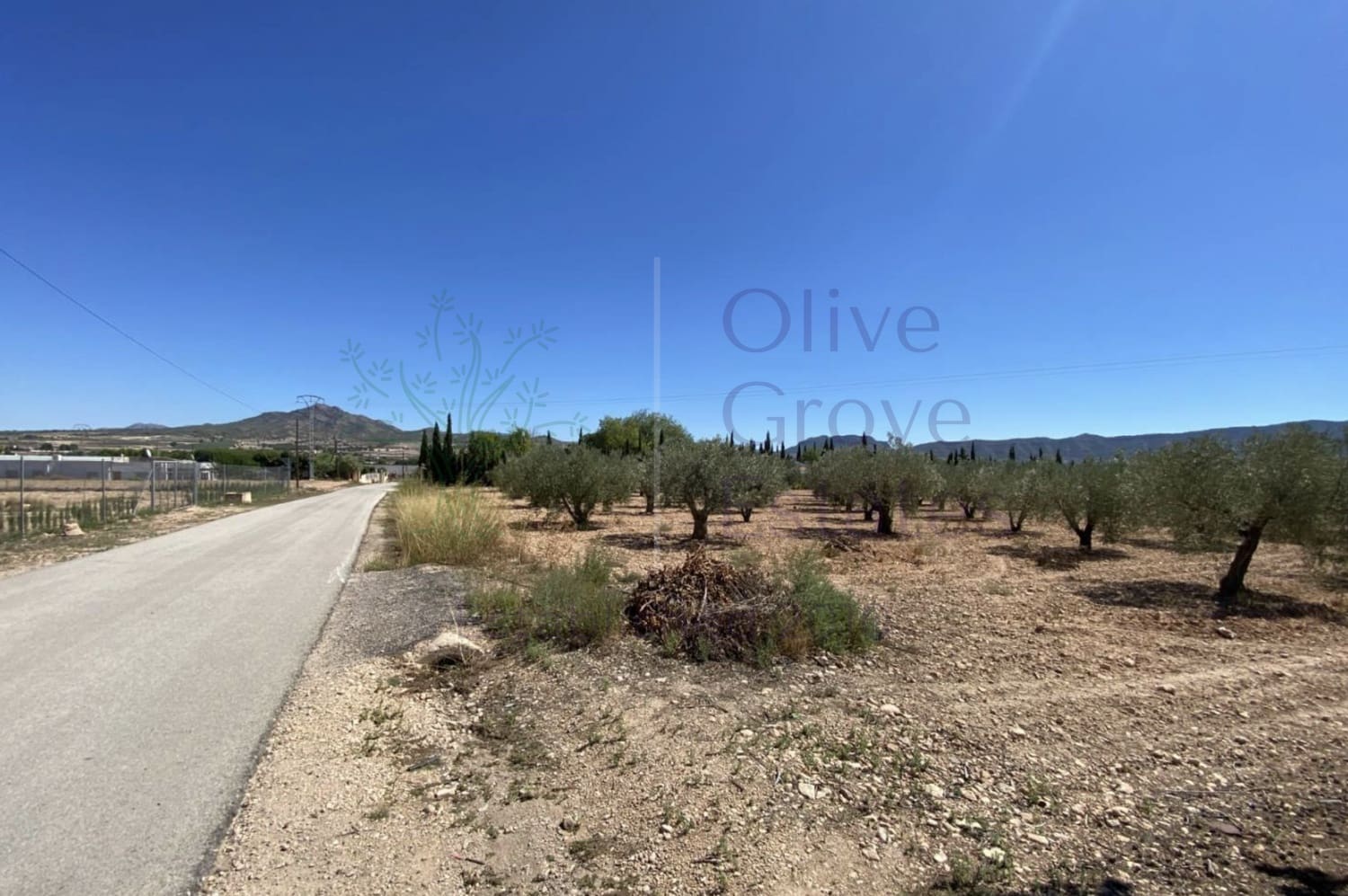 3 soverom Finca/Herregård til salgs i Salinas - € 249 995 (Ref: 9248415)