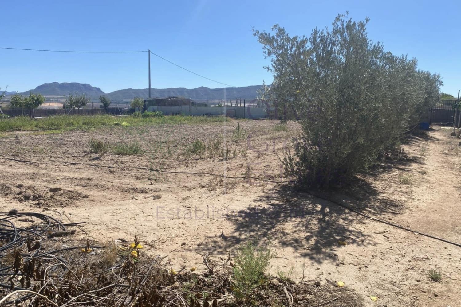 3 soverom Finca/Herregård til salgs i Salinas - € 249 995 (Ref: 9248415)