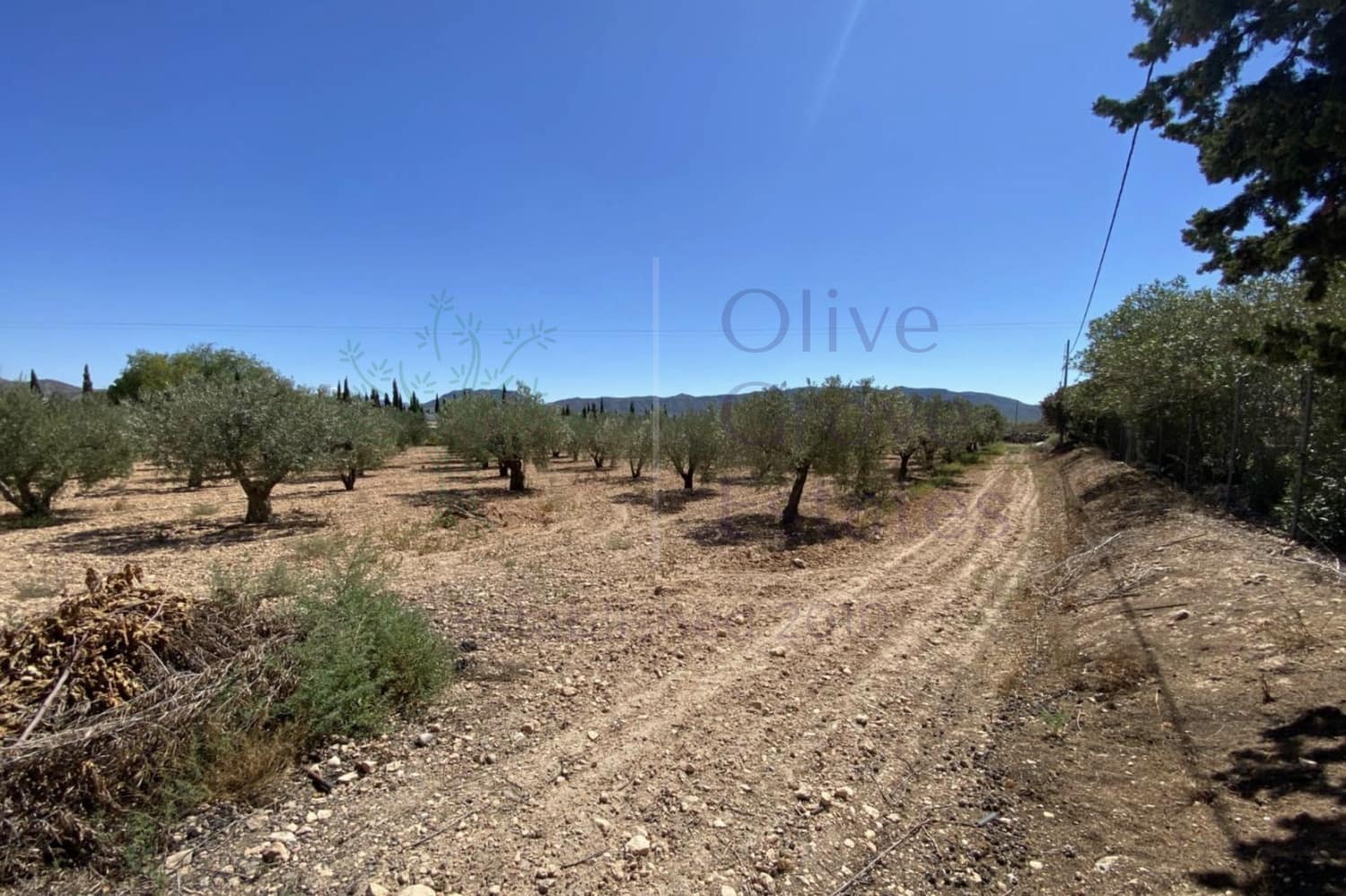 3 soverom Finca/Herregård til salgs i Salinas - € 249 995 (Ref: 9248415)