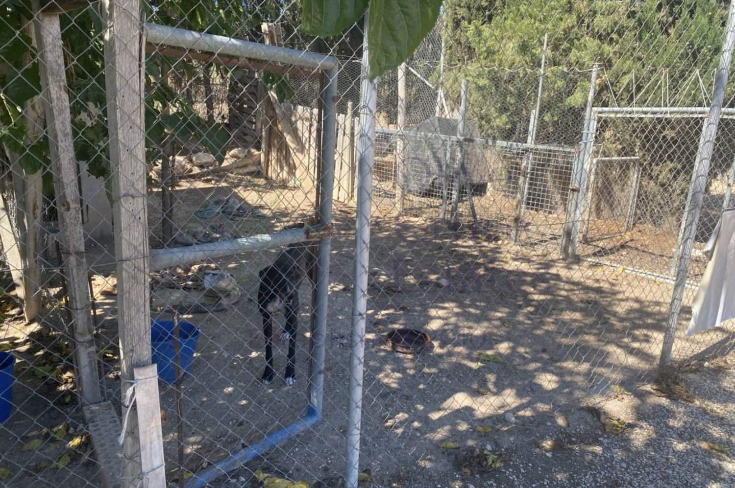 3 soverom Finca/Herregård til salgs i Salinas - € 249 995 (Ref: 9248415)