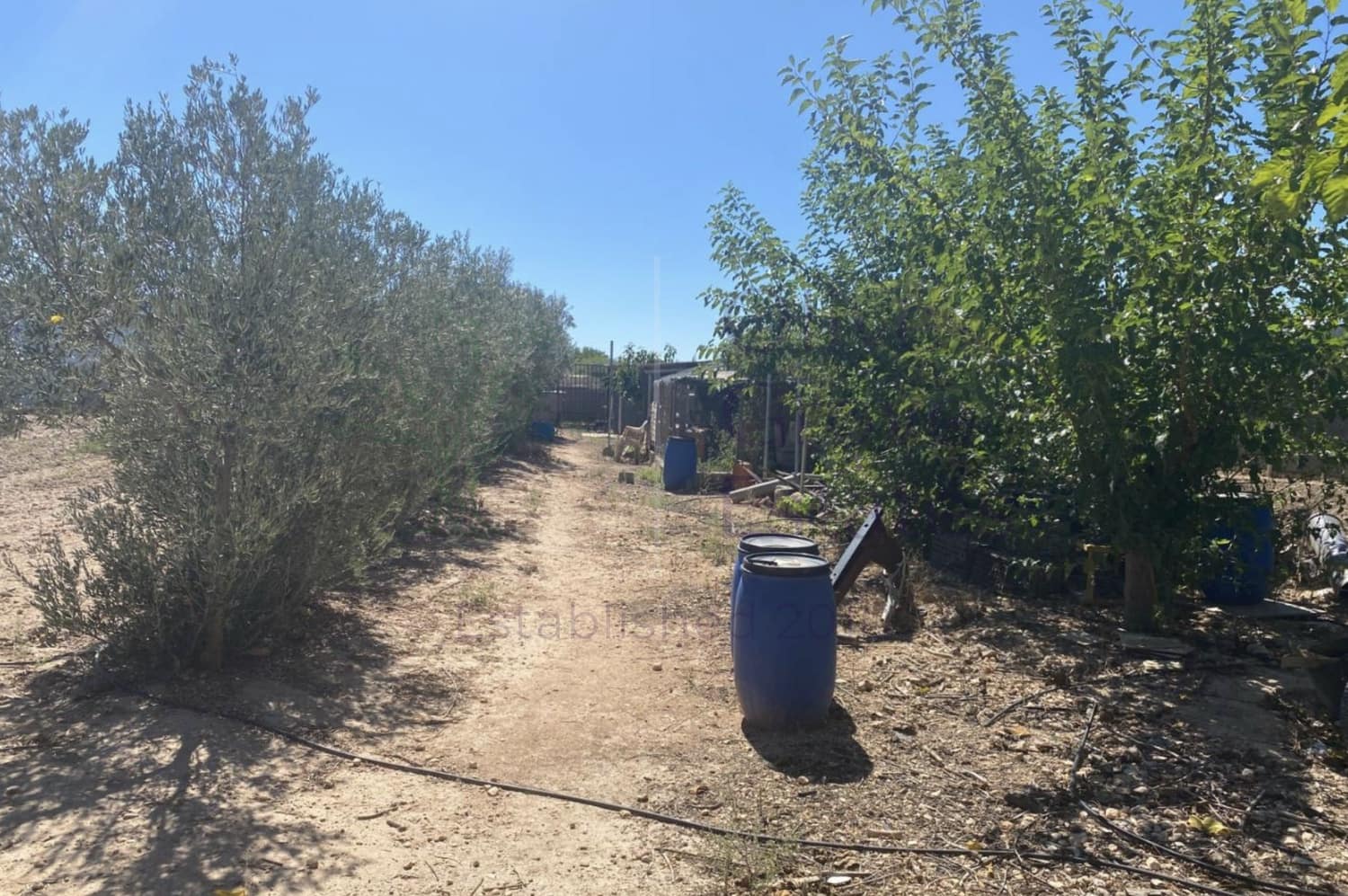 3 soverom Finca/Herregård til salgs i Salinas - € 249 995 (Ref: 9248415)