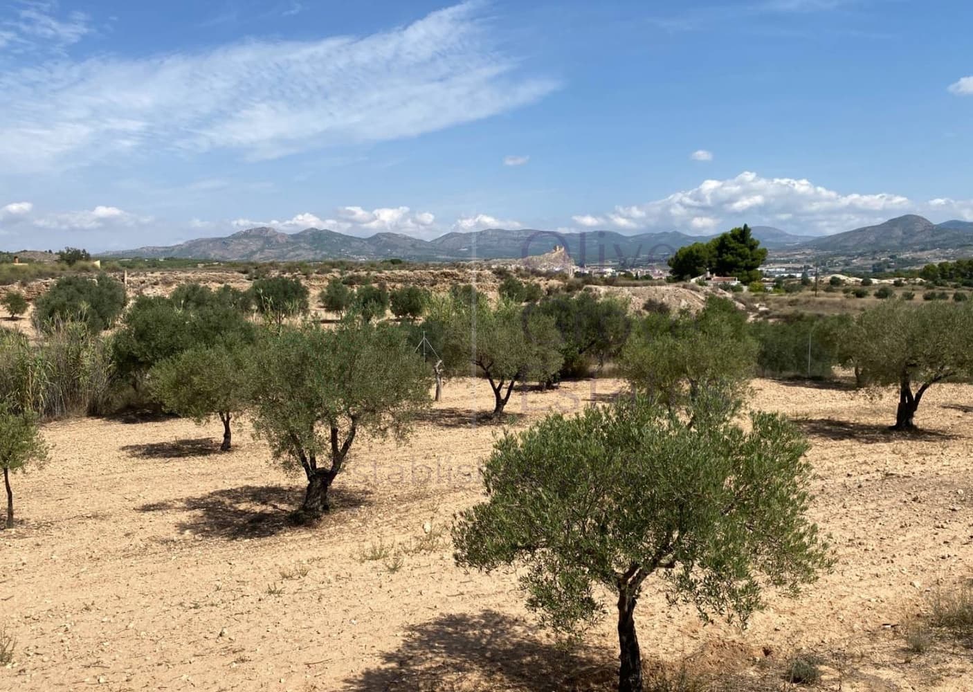 4 makuuhuone Huvila myytävänä paikassa Elda - 415 000 € (Ref: 9254468)