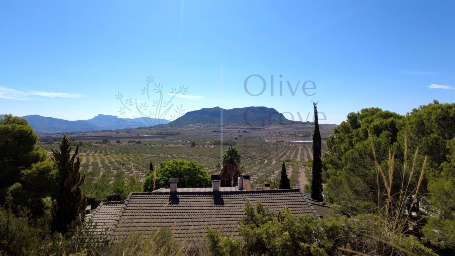 7 bedroom Finca/Country House for sale in Sax - € 1,500,000 (Ref: 9287869)