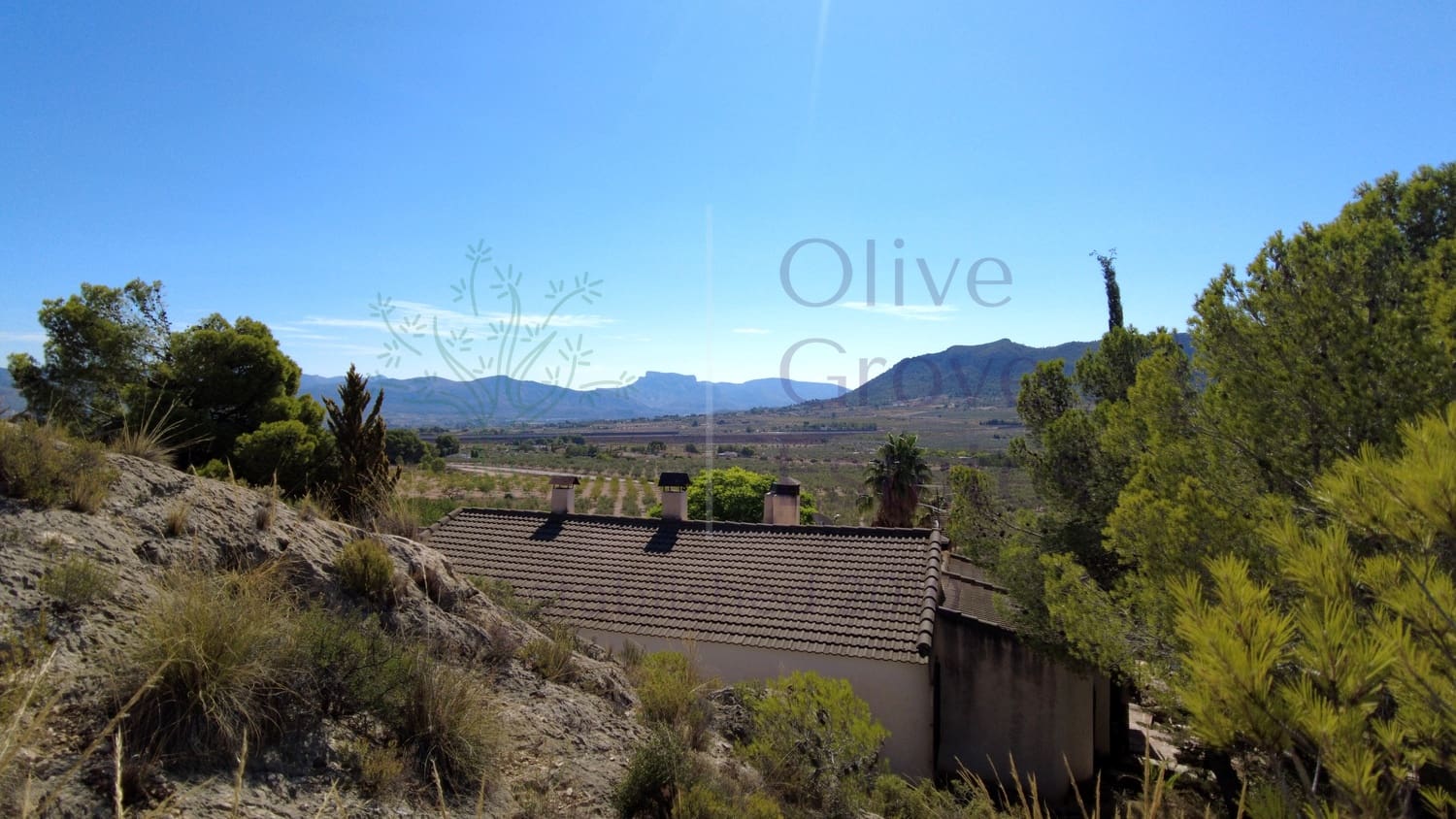 7 bedroom Finca/Country House for sale in Sax - € 1,500,000 (Ref: 9287869)