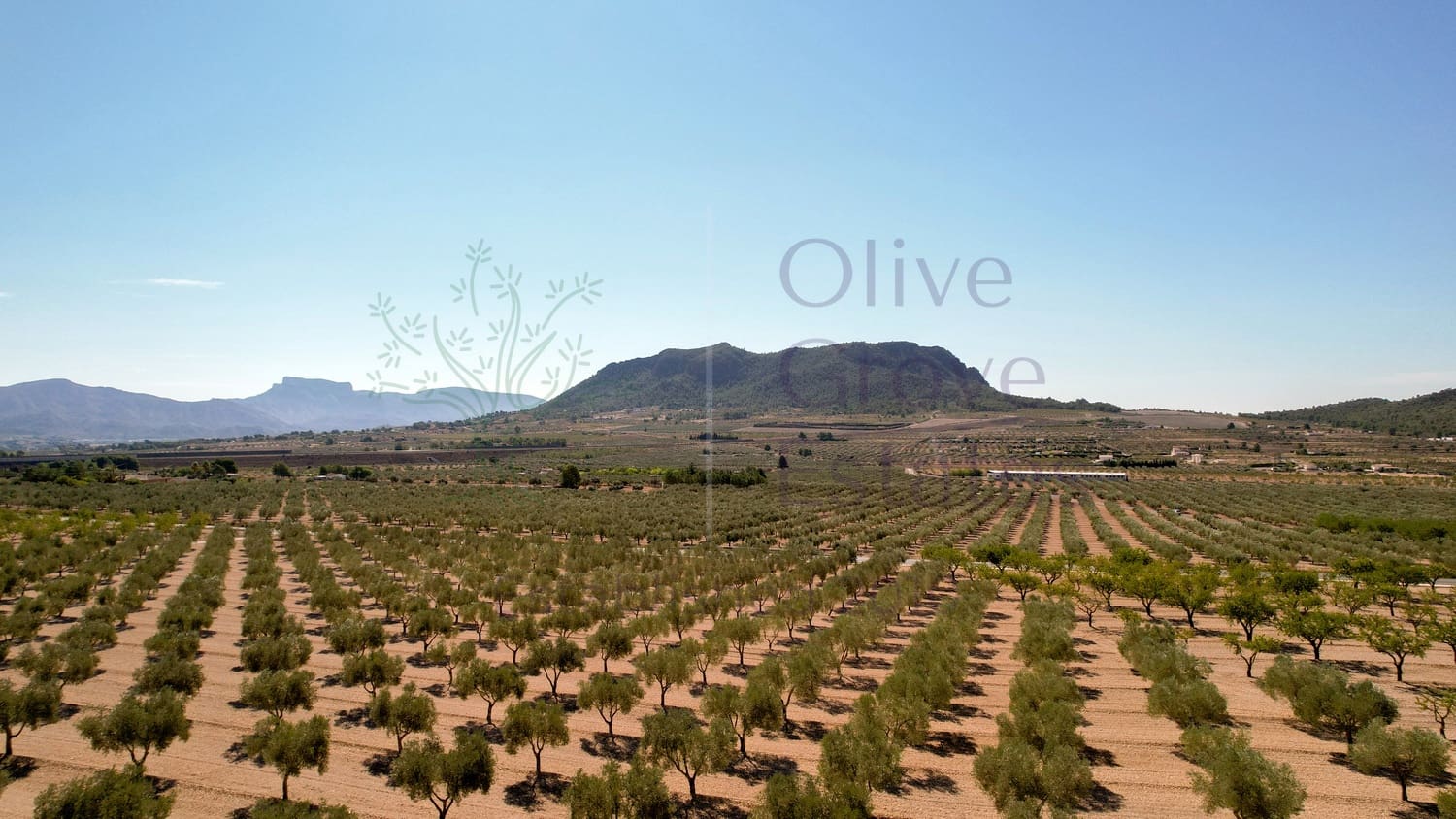 7 bedroom Finca/Country House for sale in Sax - € 1,500,000 (Ref: 9287869)