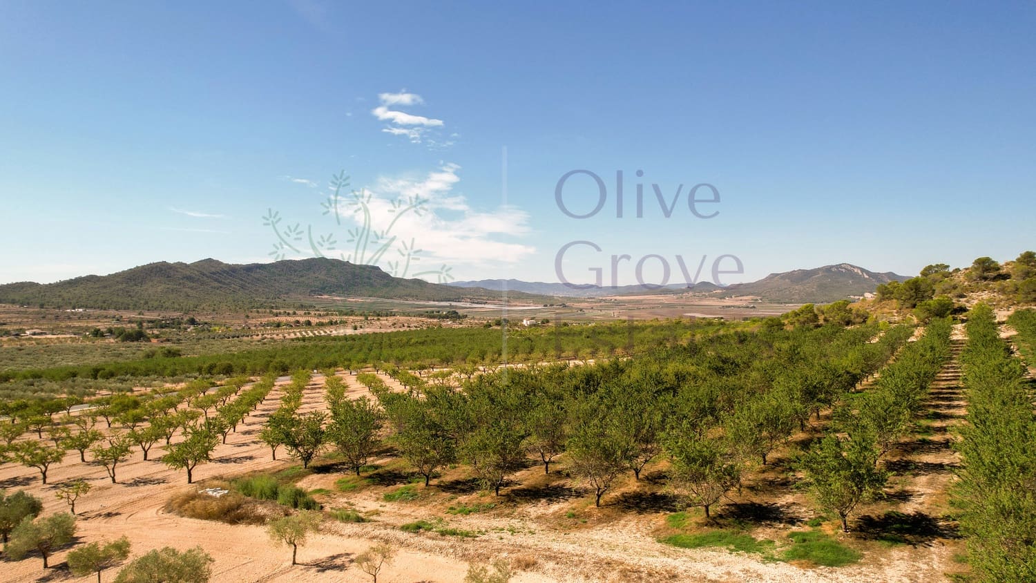 7 bedroom Finca/Country House for sale in Sax - € 1,500,000 (Ref: 9287869)