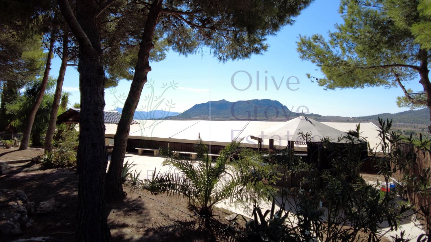 7 bedroom Finca/Country House for sale in Sax - € 1,500,000 (Ref: 9287869)