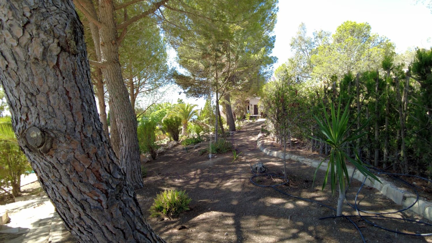 7 bedroom Finca/Country House for sale in Sax - € 1,500,000 (Ref: 9287869)