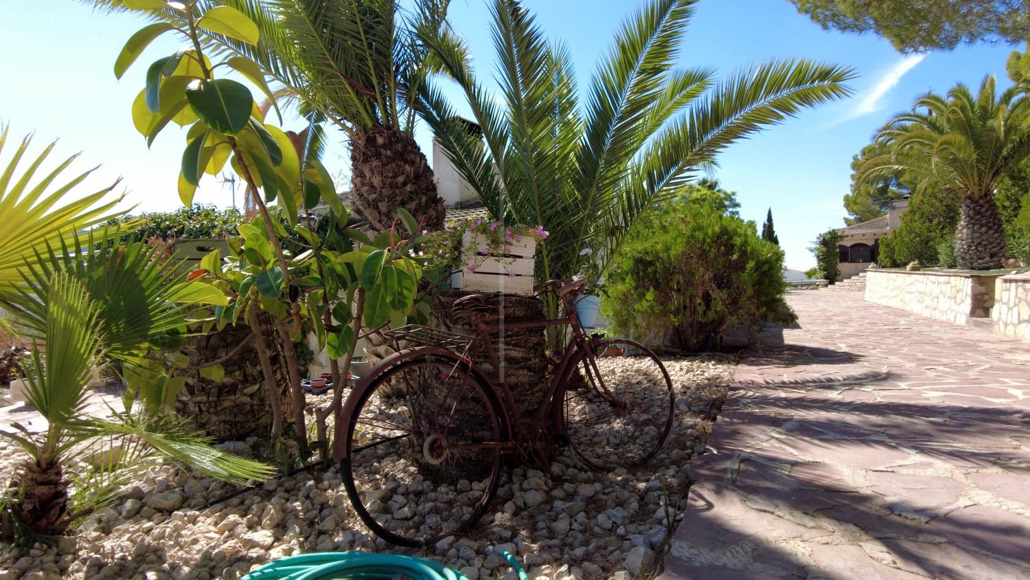 7 bedroom Finca/Country House for sale in Sax - € 1,500,000 (Ref: 9287869)