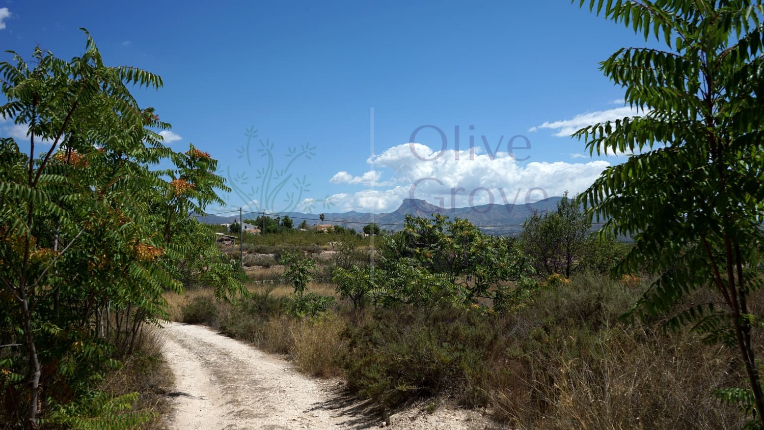 8 bedroom Villa for sale in Monovar / Monover with pool garage - € 164,950 (Ref: 9289639)