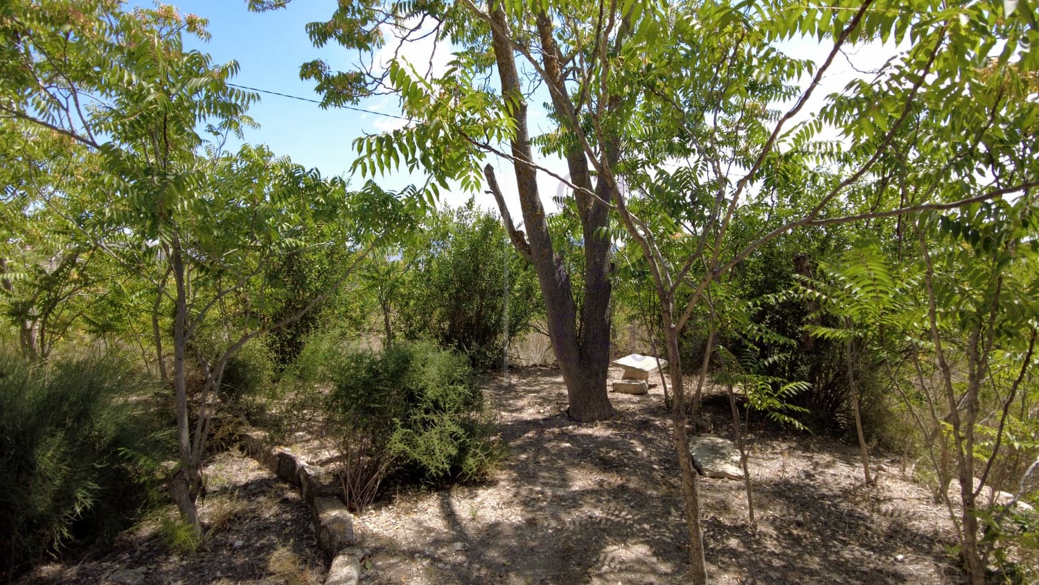 8 bedroom Villa for sale in Monovar / Monover with pool garage - € 164,950 (Ref: 9289639)