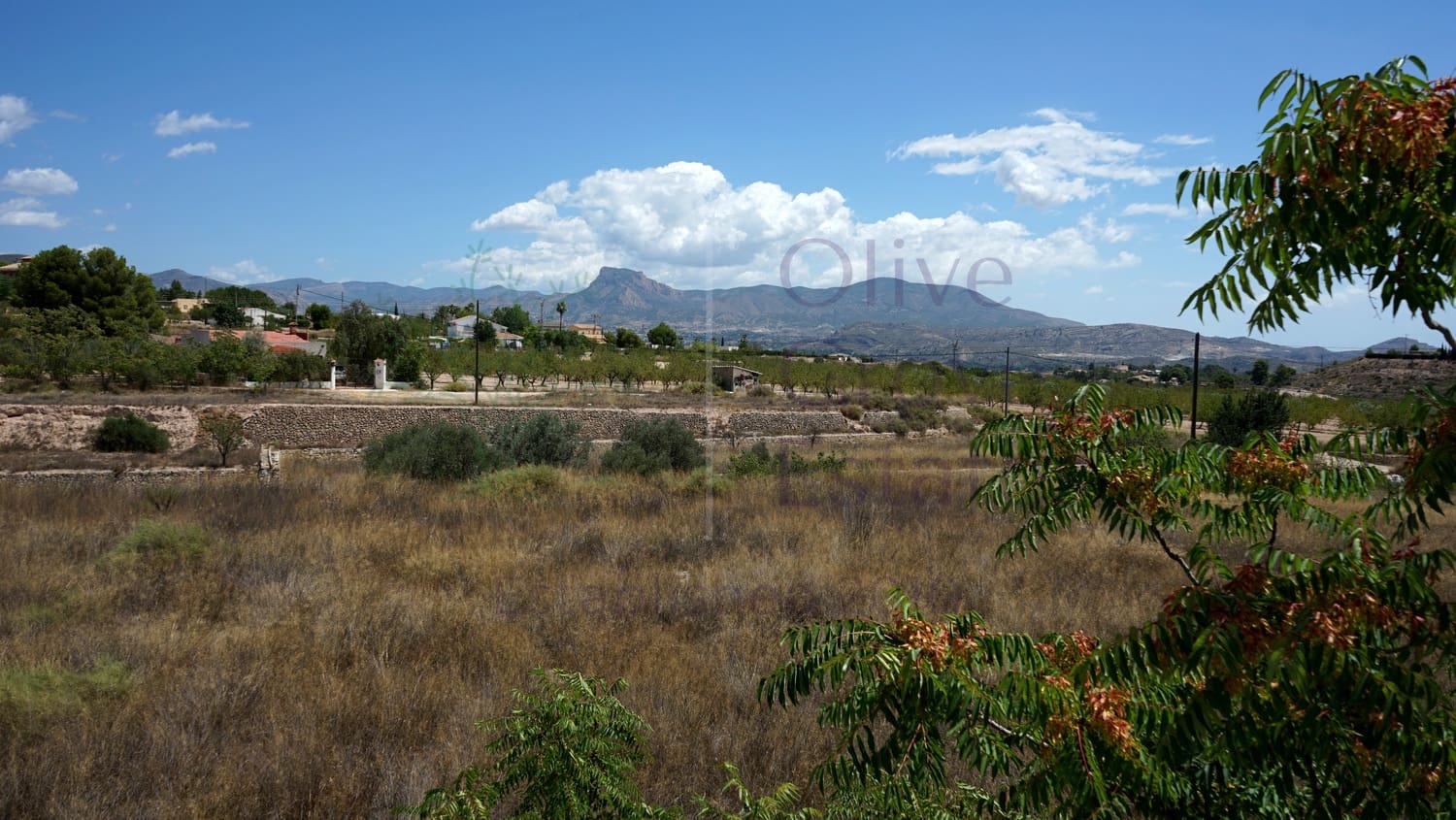 8 bedroom Villa for sale in Monovar / Monover with pool garage - € 164,950 (Ref: 9289639)