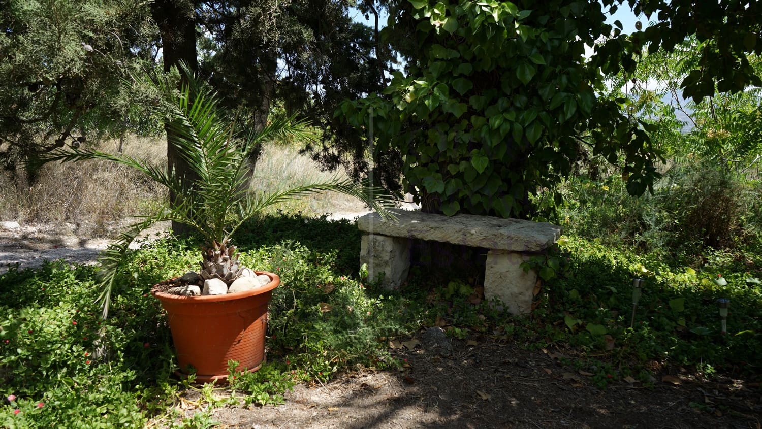 8 bedroom Villa for sale in Monovar / Monover with pool garage - € 164,950 (Ref: 9289639)