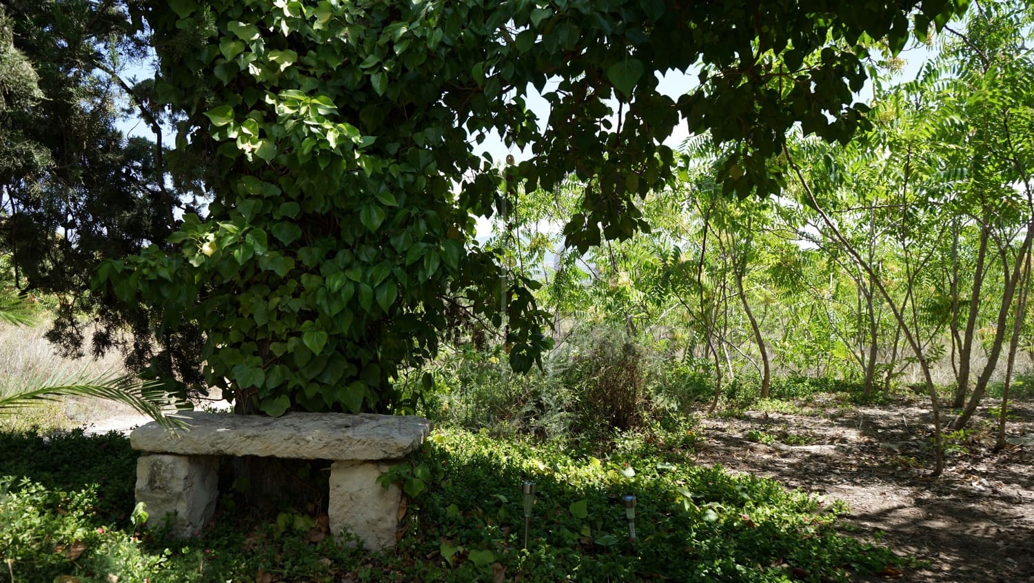 8 bedroom Villa for sale in Monovar / Monover with pool garage - € 164,950 (Ref: 9289639)