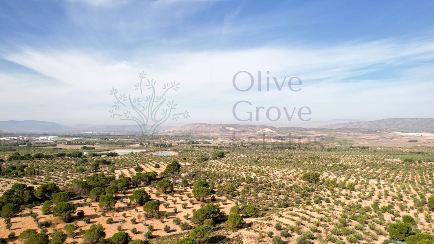 2 bedroom Villa for sale in Biar - € 495,000 (Ref: 9296327)