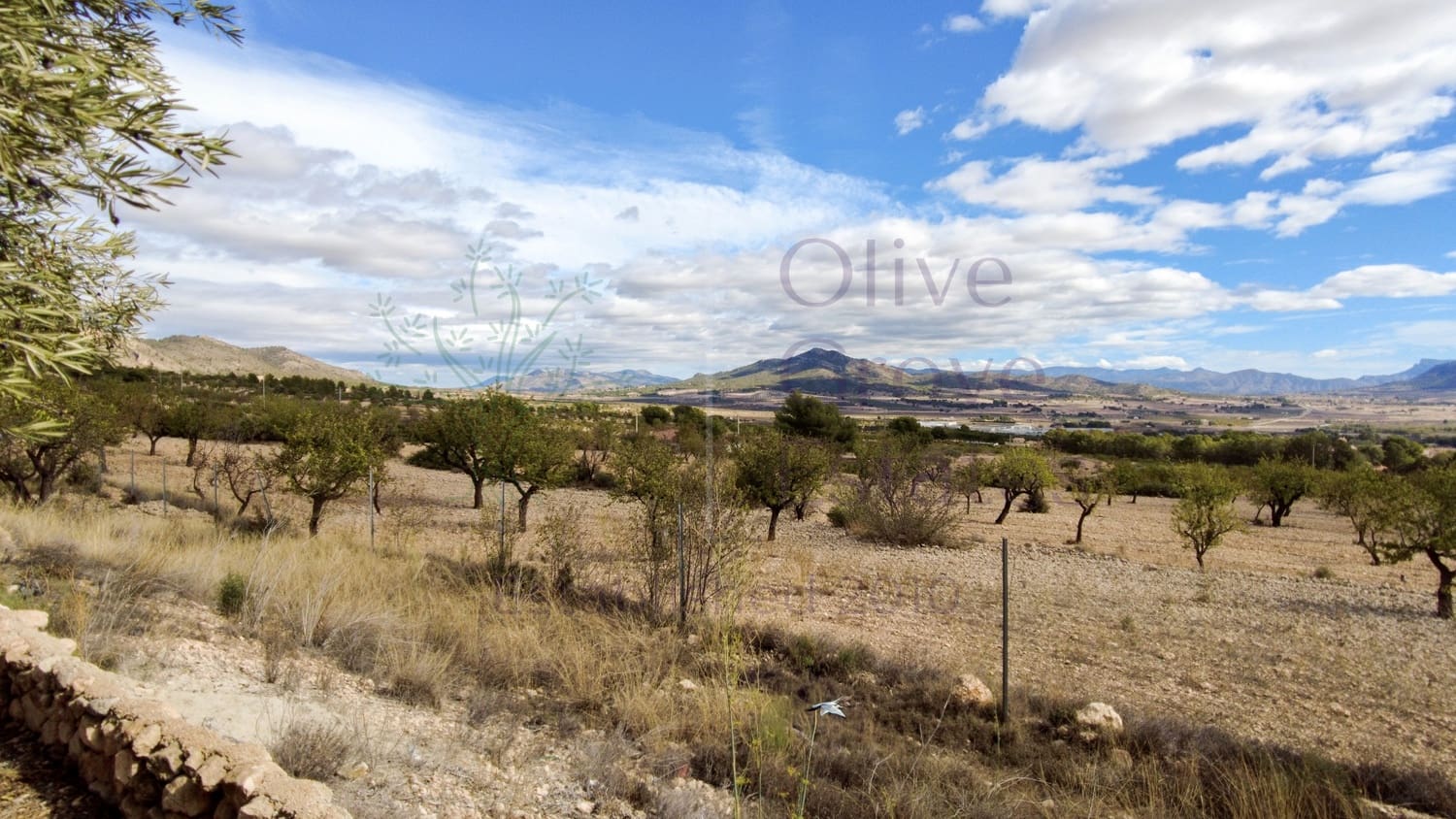 4 chambre Villa/Maison à vendre à Salinas avec piscine garage - 323 900 € (Ref: 9343951)