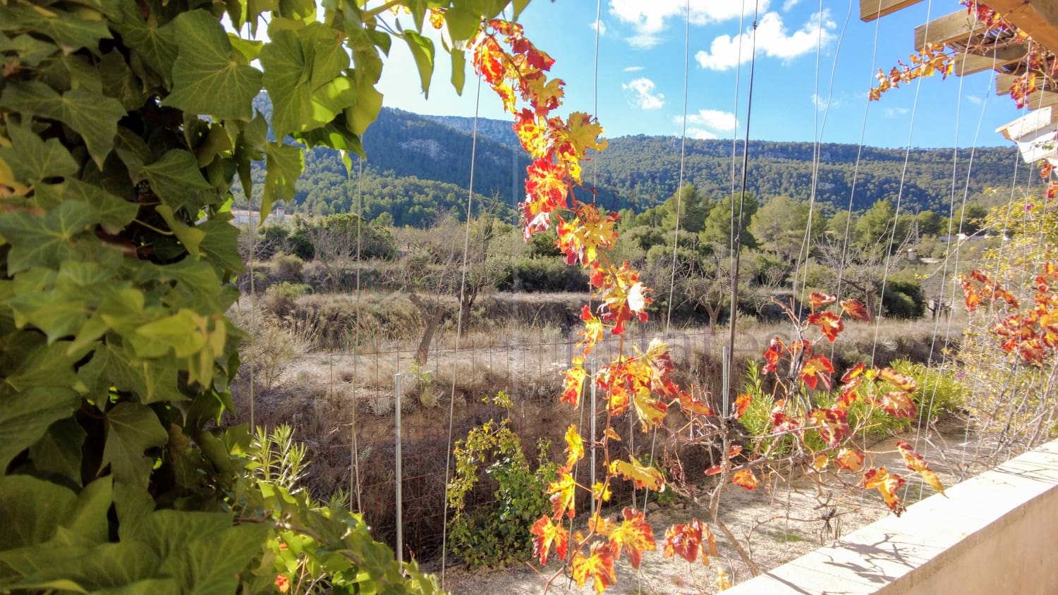 4 bedroom Villa for sale in Castalla - € 349,000 (Ref: 9438551)