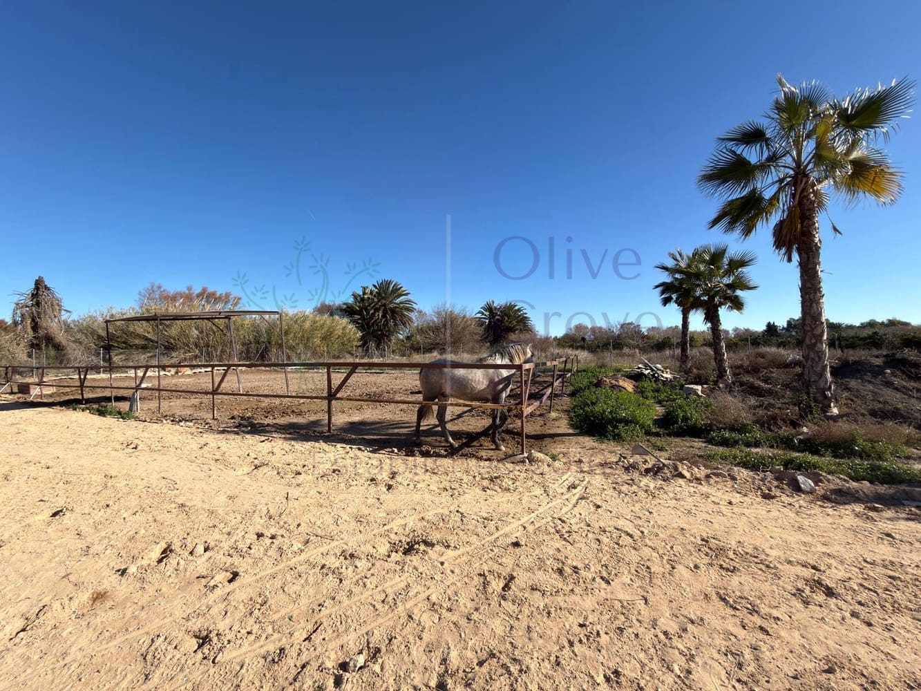 2 chambre Finca/Maison de Campagne à vendre à Almoradi - 229 000 € (Ref: 9616812)