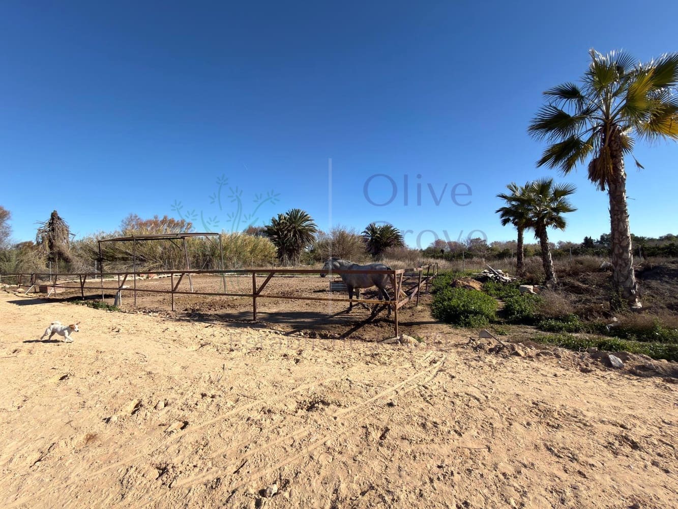 2 chambre Finca/Maison de Campagne à vendre à Almoradi - 229 000 € (Ref: 9616812)