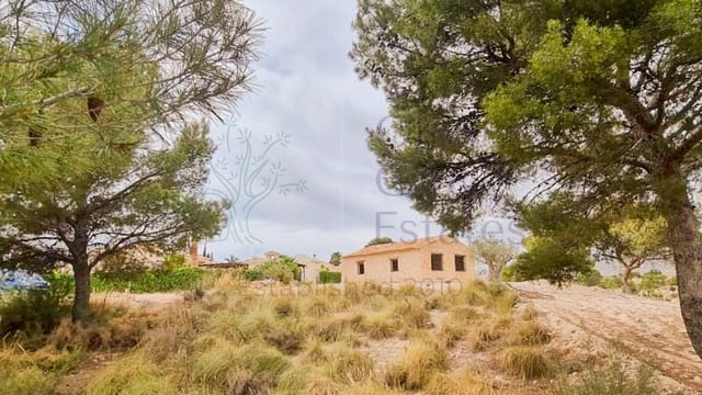 1 quarto Quinta/Casa Rural para venda em Abanilla - 75 900 € (Ref: 9628287)