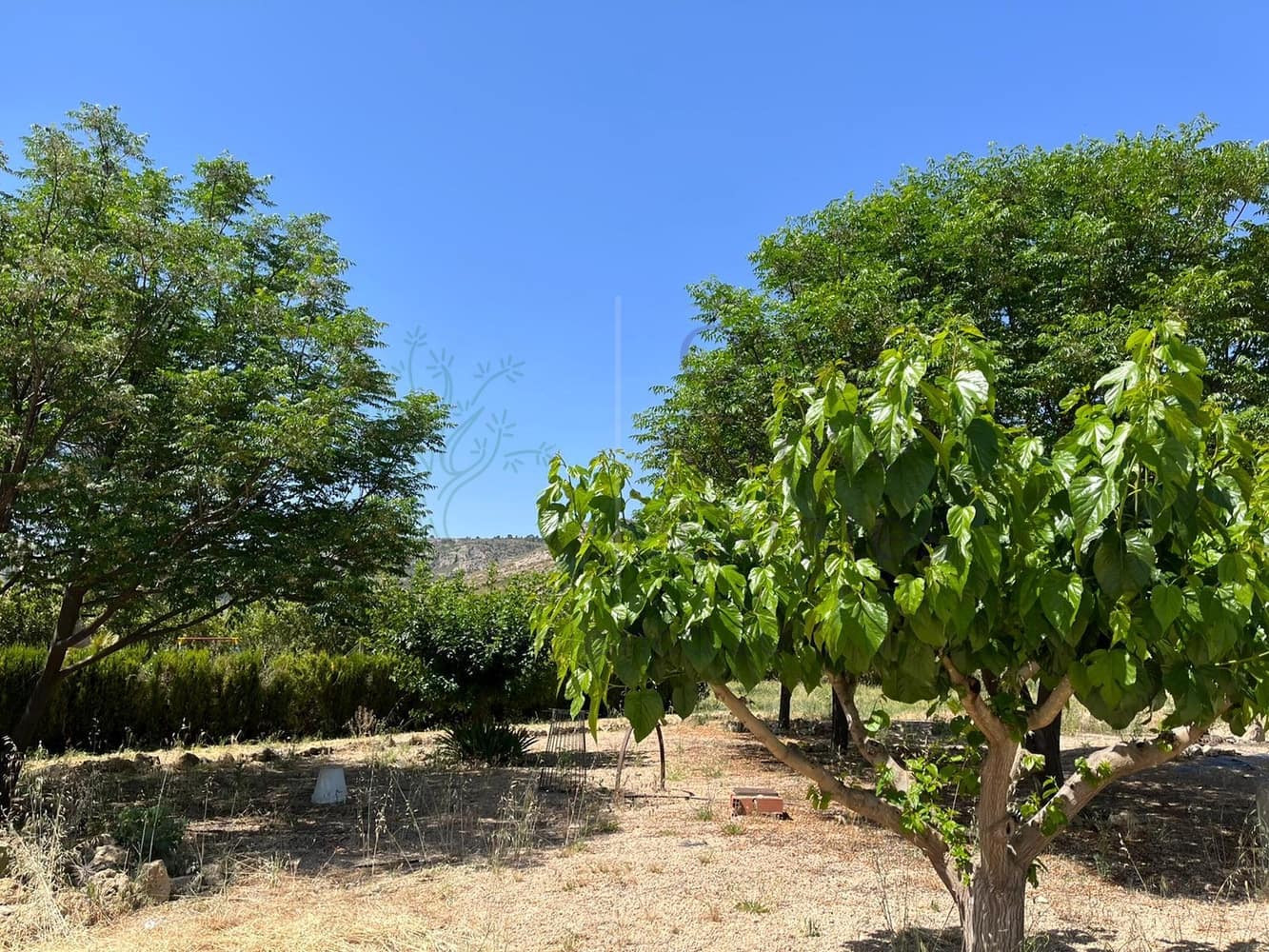 2 bedroom Villa for sale in Villena - € 249,000 (Ref: 9631403)
