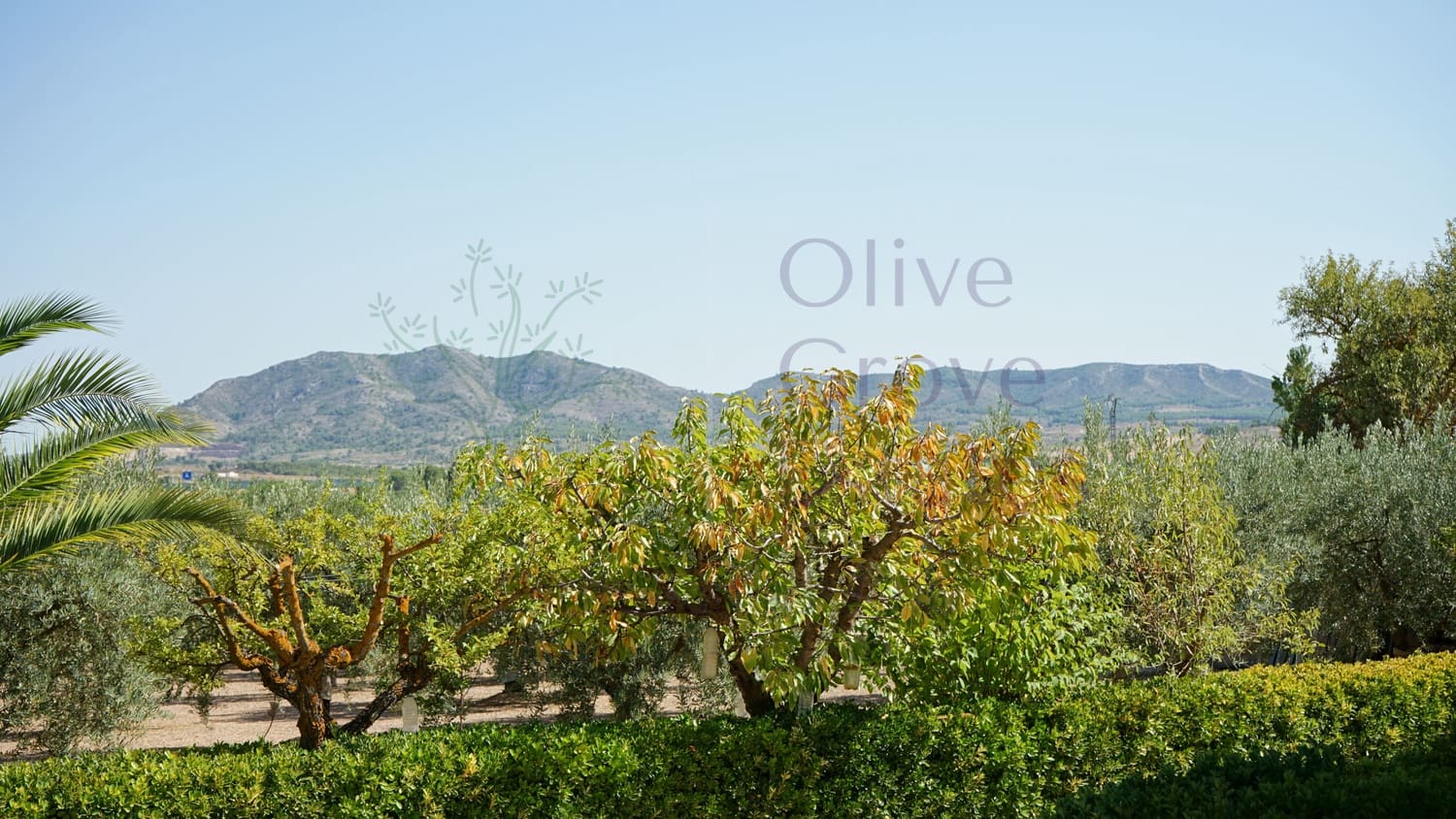 4 bedroom Villa for sale in Caudete - € 209,900 (Ref: 9654309)