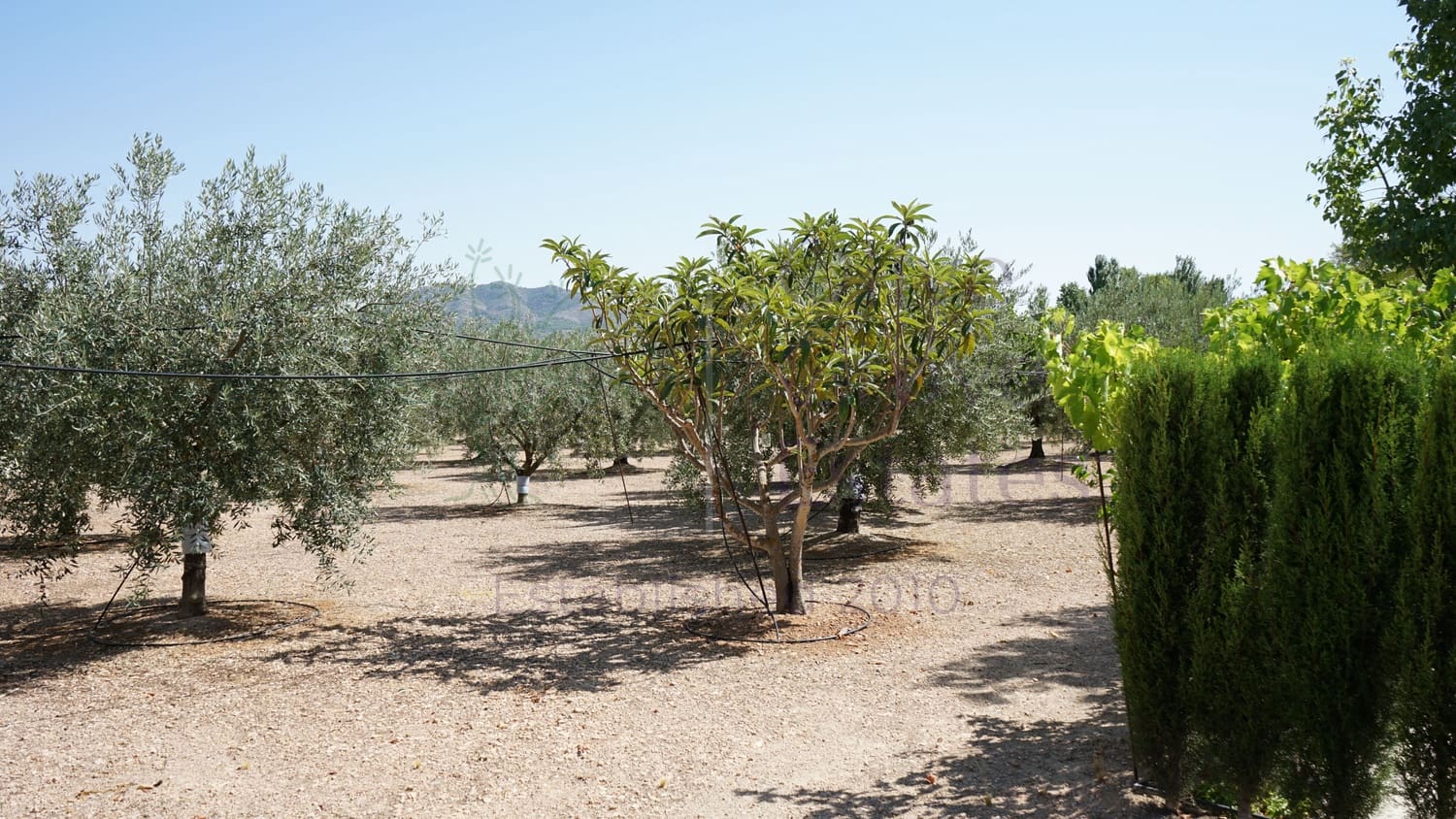 4 bedroom Villa for sale in Caudete - € 209,900 (Ref: 9654309)