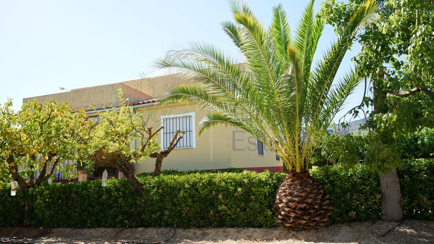 4 bedroom Villa for sale in Caudete - € 209,900 (Ref: 9654309)
