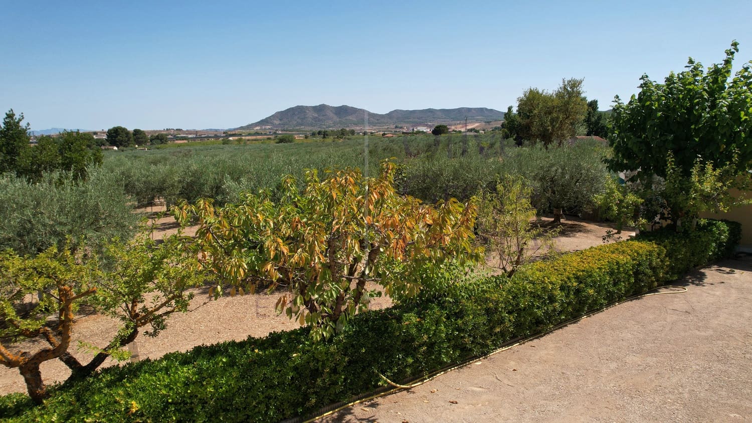 4 bedroom Villa for sale in Caudete - € 209,900 (Ref: 9654309)