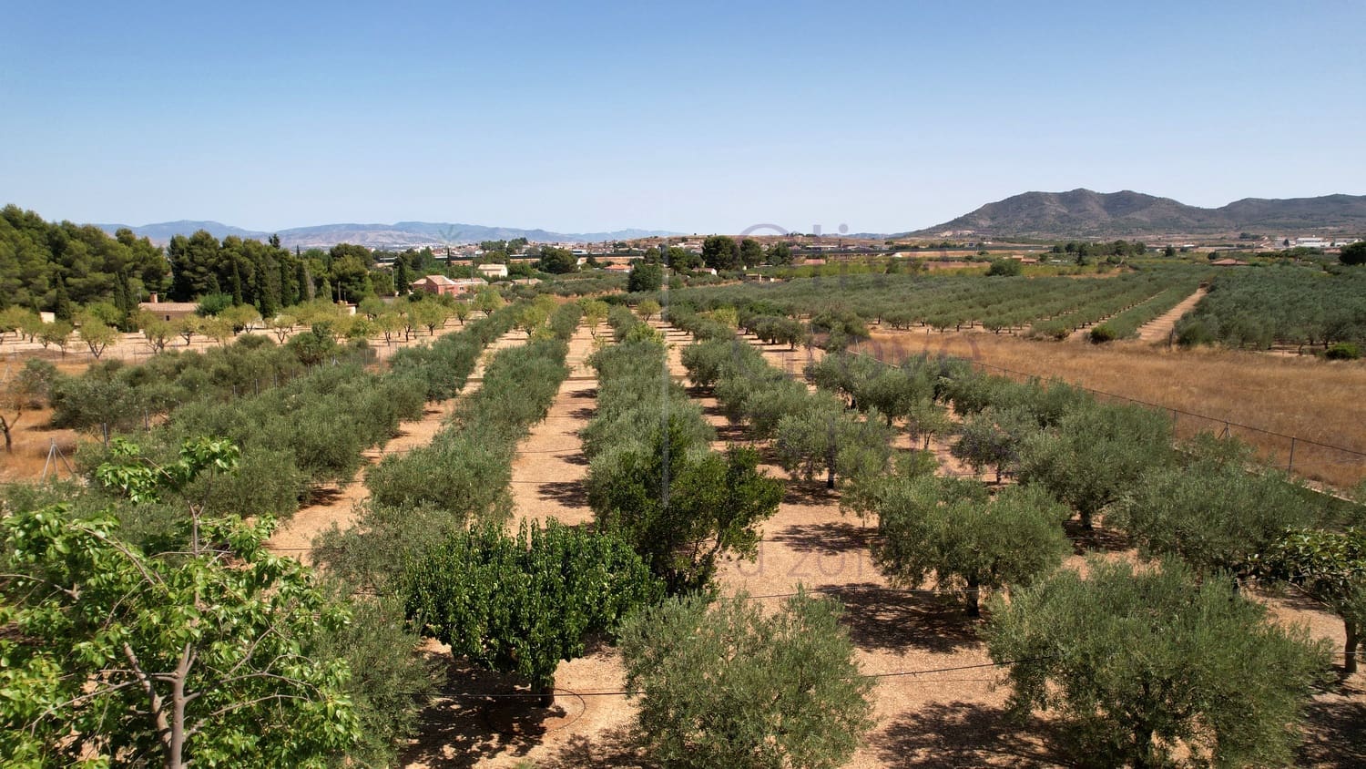 4 bedroom Villa for sale in Caudete - € 209,900 (Ref: 9654309)