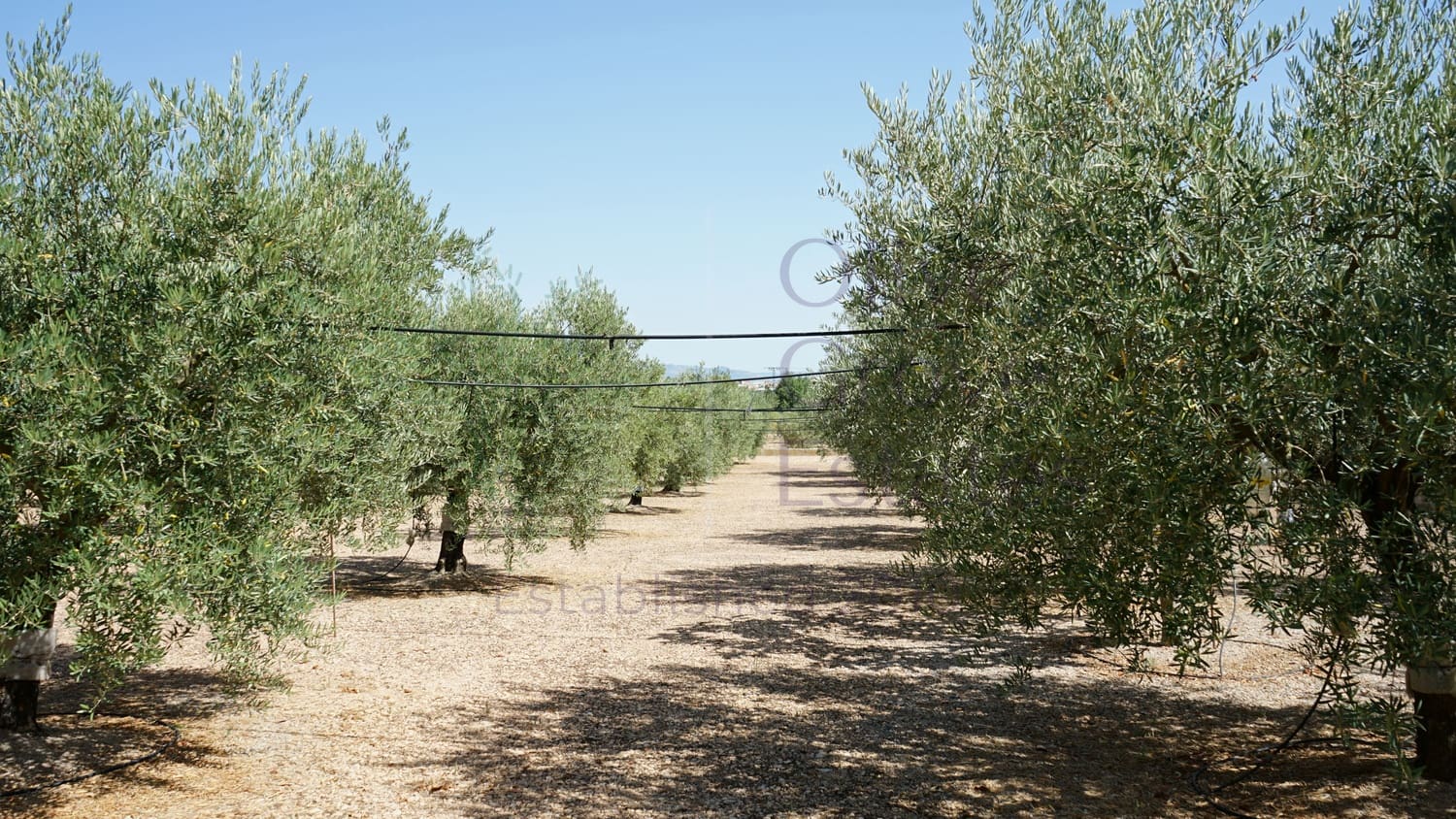 4 bedroom Villa for sale in Caudete - € 209,900 (Ref: 9654309)