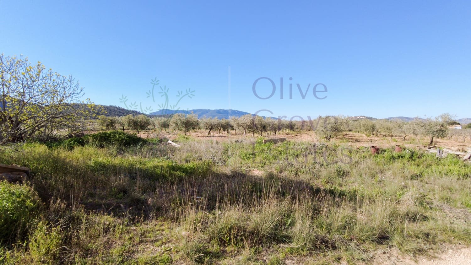5 bedroom Finca/Country House for sale in Yecla - € 129,995 (Ref: 9715593)