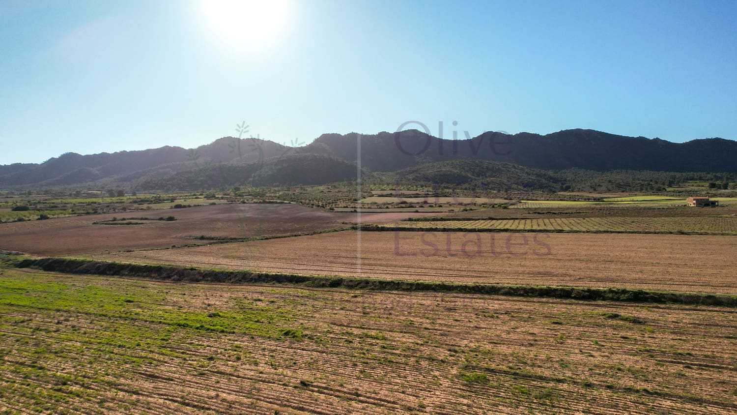 5 bedroom Finca/Country House for sale in Yecla - € 129,995 (Ref: 9715593)