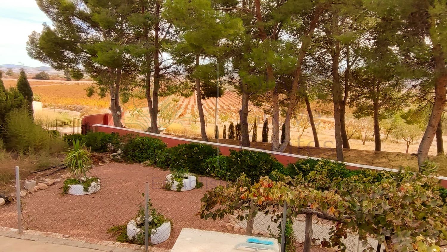 4 soveværelse Villa til salg i Yecla med swimmingpool garage - € 159.995 (Ref: 9733378)