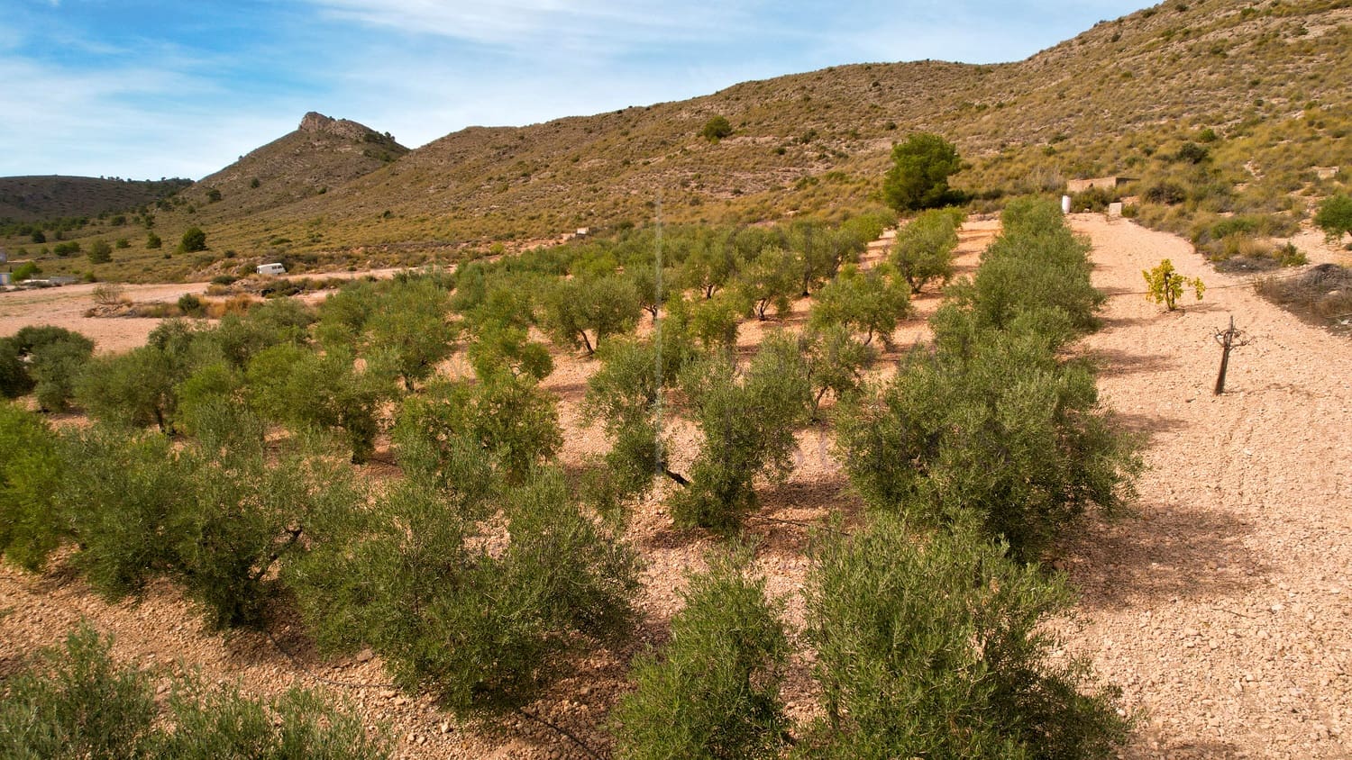 4 soveværelse Villa til salg i Yecla med swimmingpool garage - € 159.995 (Ref: 9733378)