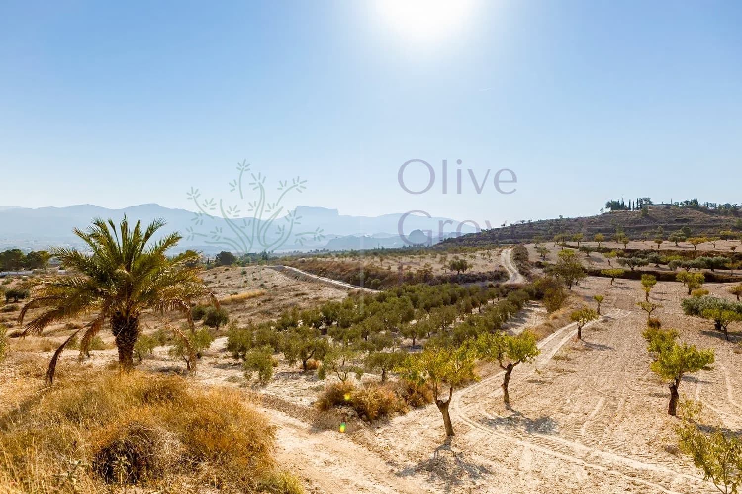 5 soveværelse Finca/Landehus til salg i Elda - € 150.000 (Ref: 9736118)