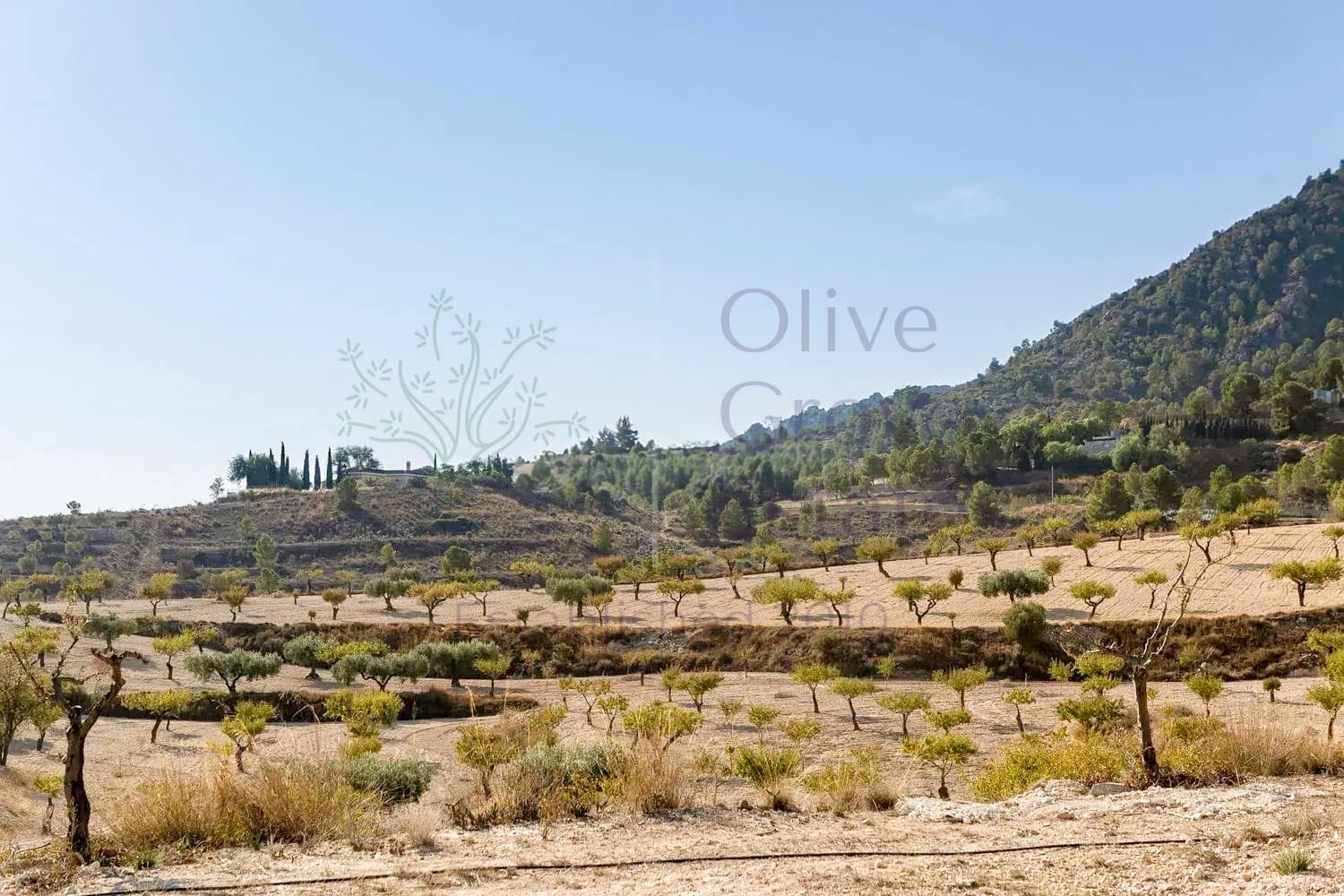 5 soveværelse Finca/Landehus til salg i Elda - € 150.000 (Ref: 9736118)