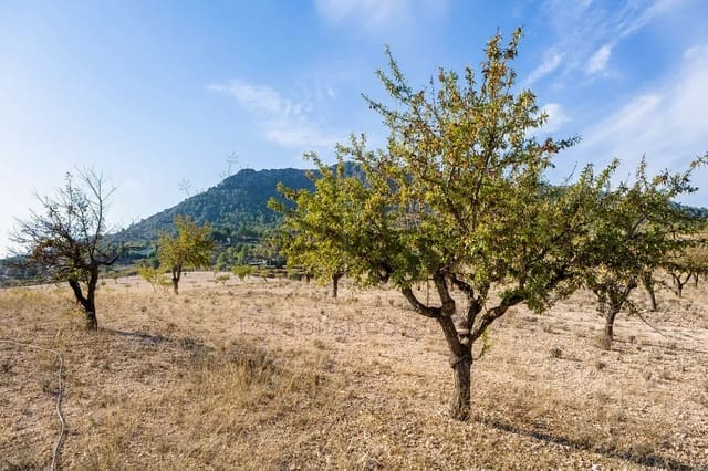 5 soveværelse Finca/Landehus til salg i Elda - € 150.000 (Ref: 9736118)