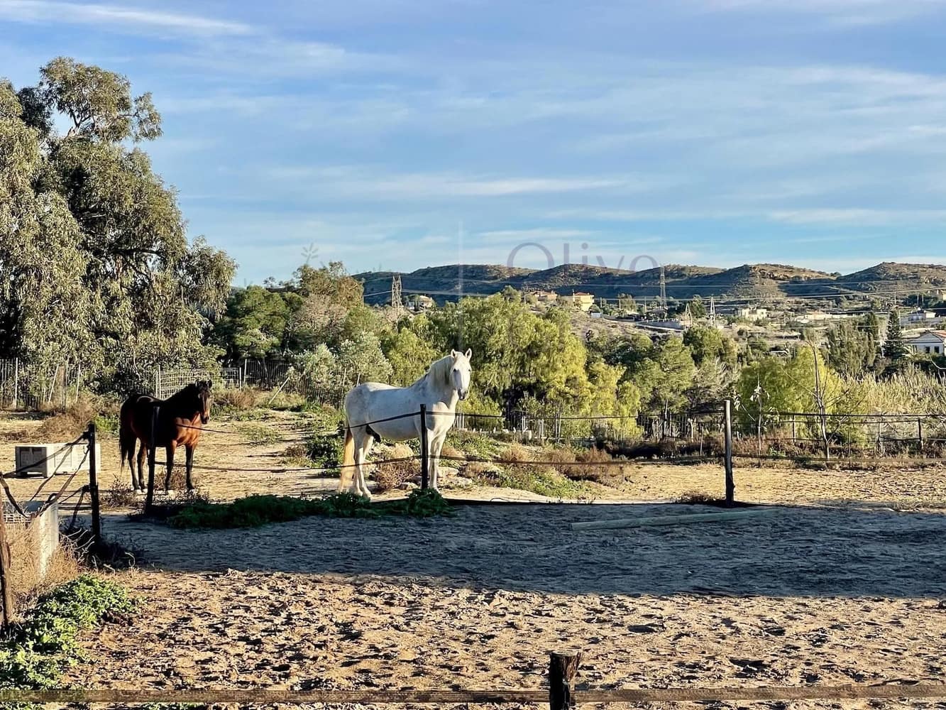 5 soveværelse Villa til salg i Elche / Elx - € 850.000 (Ref: 9836750)